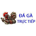 Đá Gà Trực Tiếp is swapping clothes online from 