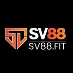sv88fit is swapping clothes online from 