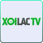 Xoilac TV Trực tiếp Bóng Đá is swapping clothes online from 