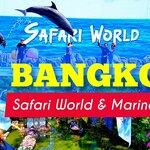 safariworld is swapping clothes online from 