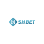 shbethocom is swapping clothes online from 