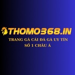 thomo368in is swapping clothes online from 