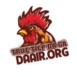 daairorg is swapping clothes online from 