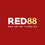 red88orguk is swapping clothes online from 