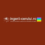 ingerii-cerului is swapping clothes online from 