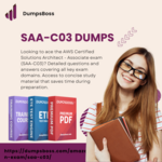 saac03dumps is swapping clothes online from 