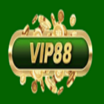 vip88ing is swapping clothes online from 