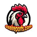 dagaaxelreports is swapping clothes online from 