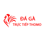 daga1vyg is swapping clothes online from 