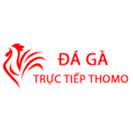 Đá Gà Trực Tiếp Thomo Hôm Nay is swapping clothes online from 