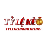 welshpremiercomsoikeo is swapping clothes online from 