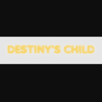 destinyschildstore is swapping clothes online from 