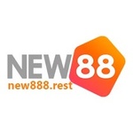 new88rest is swapping clothes online from 