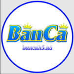 bancah5ad is swapping clothes online from 