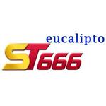 st666eucalipto is swapping clothes online from 