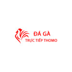 dagadjmix is swapping clothes online from 
