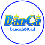 BANCA30  is swapping clothes online from 