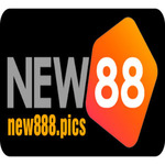 new888pics is swapping clothes online from 