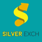 silverexch12 is swapping clothes online from 