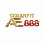 ae888cedarfit is swapping clothes online from 