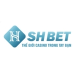 shbetrentals is swapping clothes online from 