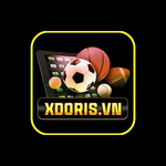 xdorisvn is swapping clothes online from 