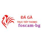 Đá Gà Trực Tiếp Thomo Hôm Nay is swapping clothes online from 