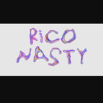 riconastystore is swapping clothes online from 