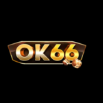 ok66ok66 is swapping clothes online from 