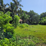 buylandingoa is swapping clothes online from 