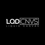 lqdcnvs is swapping clothes online from 