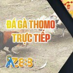 dagaaz888 is swapping clothes online from 