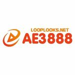 aae3888looplooks is swapping clothes online from 