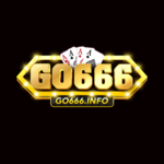 go666info is swapping clothes online from 