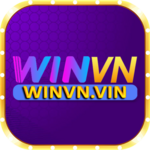 Winvn Vin is swapping clothes online from 