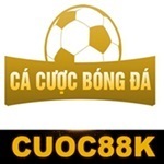 cacuocbongdainfo is swapping clothes online from 