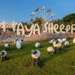 Pattaya Sheep Farm is swapping clothes online from Pattaya  city, Chonburi