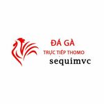 Đá Gà Trực Tiếp Thomo Hôm Nay is swapping clothes online from 