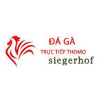 Đá Gà Trực Tiếp Thomo Hôm Nay is swapping clothes online from 