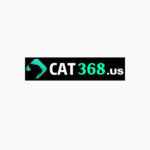 cat368 is swapping clothes online from 