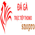 dagasnopro is swapping clothes online from 