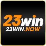 23winnow is swapping clothes online from 