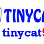 tinycat99ac is swapping clothes online from 