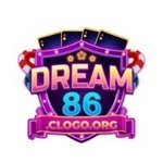 dream86clogo is swapping clothes online from 