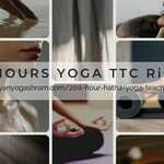 200houryttc is swapping clothes online from 