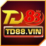 TD88 vin is swapping clothes online from 