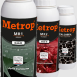 pflanzenblog is swapping clothes online from 