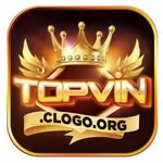 TopVin is swapping clothes online from 