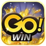 gowinclogo is swapping clothes online from 