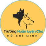 huanluyenchohcmez is swapping clothes online from 
